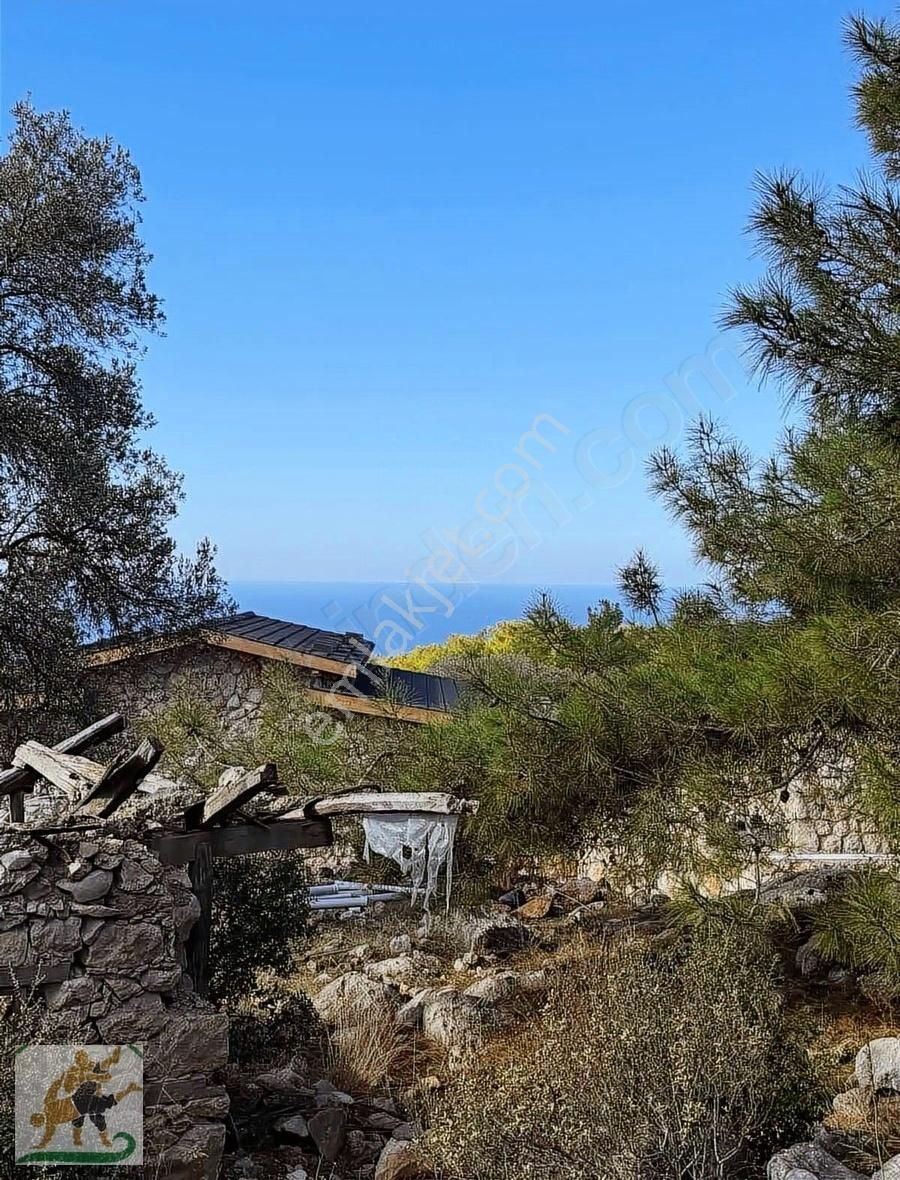 Kaş Gelemiş Satılık Tarla Kalkan Yalı Mevki Full Deniz Manzara 2b Parseller 500 M2