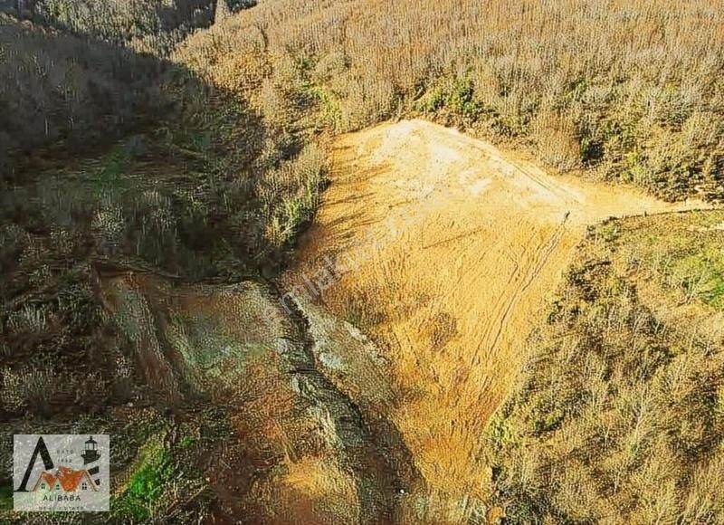 Şile Ağaçdere Satılık Konut İmarlı Şile Ali Baba Emlaktan Ağaçderede İnşaata Hazır 2 Villalık Arsa