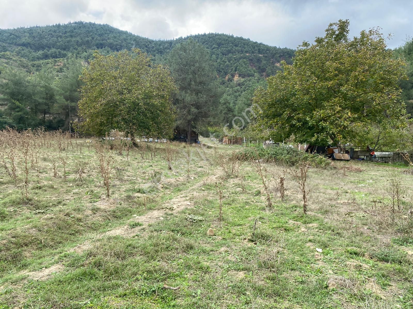 Osmaneli Camicedit Satılık Tarla Osmaneli Merkeze Yakın Yolu Olan 1700 M2 Satılık Arazi