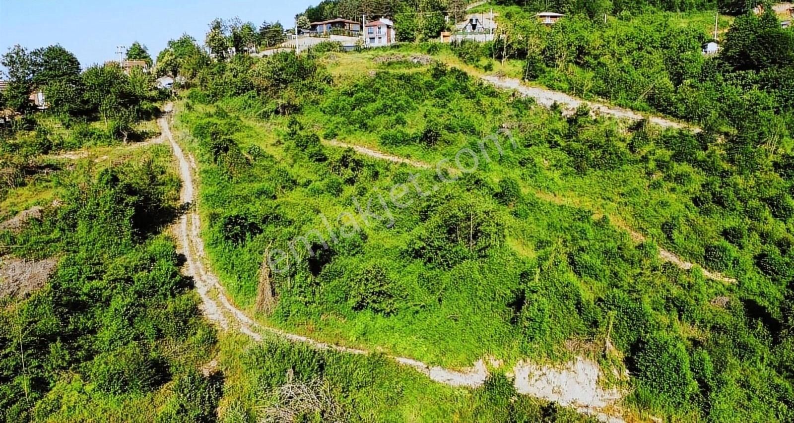 Sapanca Balkaya Satılık Turizm İmarlı Sapanca Balkaya Da Eşsiz Doğa Manzaralı Satılık İmarlı Arsa