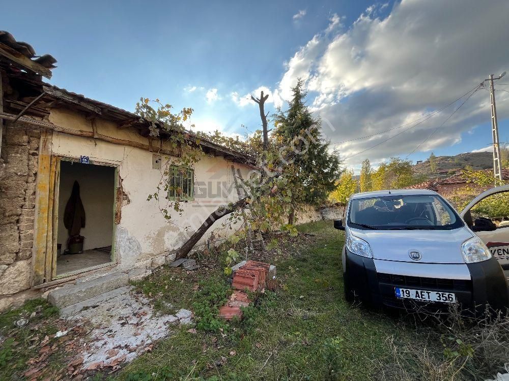 Çorum Merkez Tatar Köyü Satılık Bağ & Bahçe Güvenay - Çorum Tatar Köyü 55 M² 1+1 Satılık Köy Evi