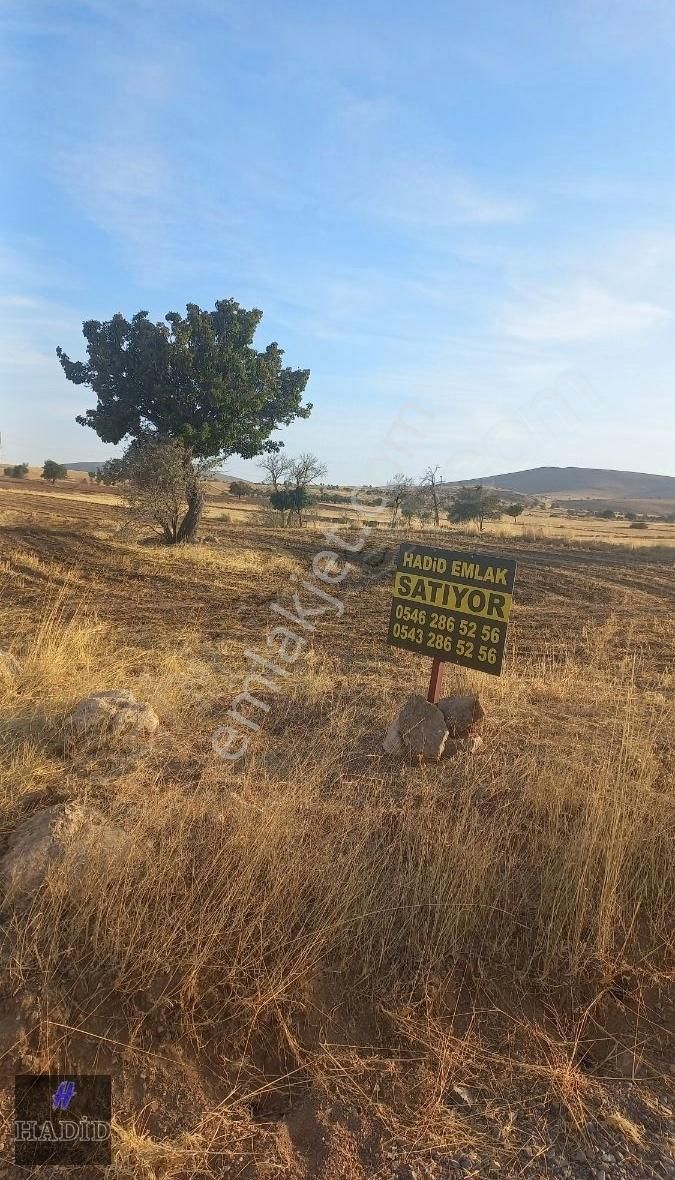 Meram Bayat Satılık Tarla Hadid Emlak Tan Bayatta Satılık Tarla Etrafında Evler Var