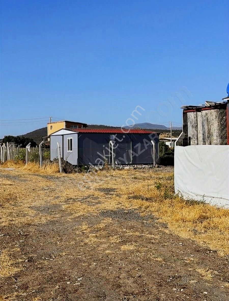 Foça Mareşal Fevzi Çakmak Satılık Tarla Foça Gerenköyde 276 Mk Bahçe Acil Satılık