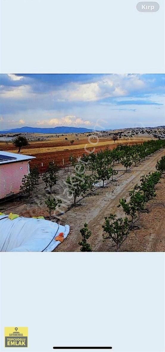 Korkuteli Kevzer Mah Duble Yola Cehpe 11.250m2 Bahçe İlçeye 10km - Görsel 2