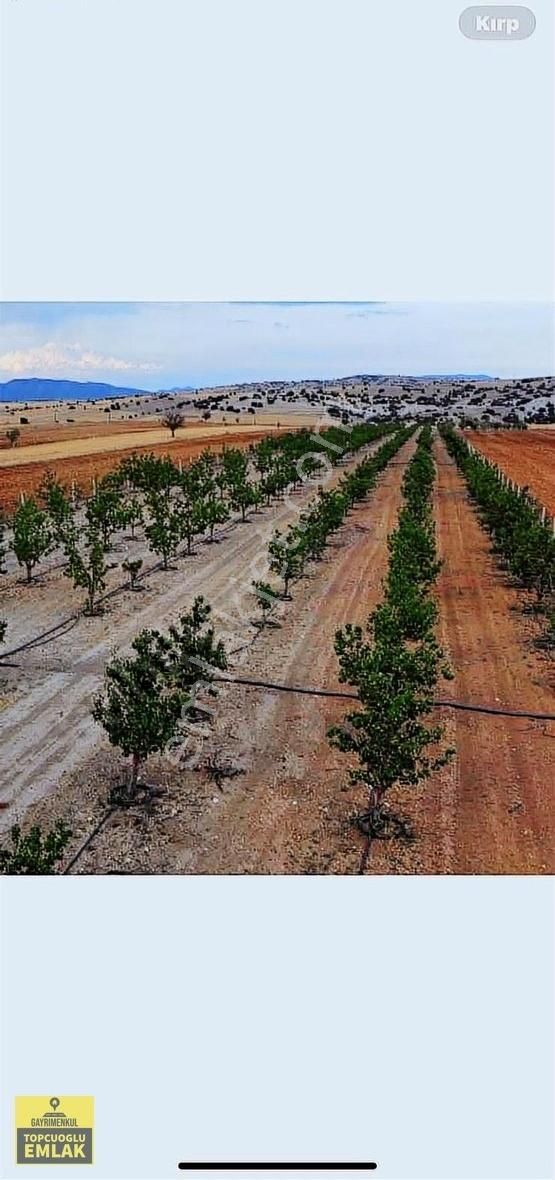 Korkuteli Kevzer Mah Duble Yola Cehpe 11.250m2 Bahçe İlçeye 10km - Görsel 11