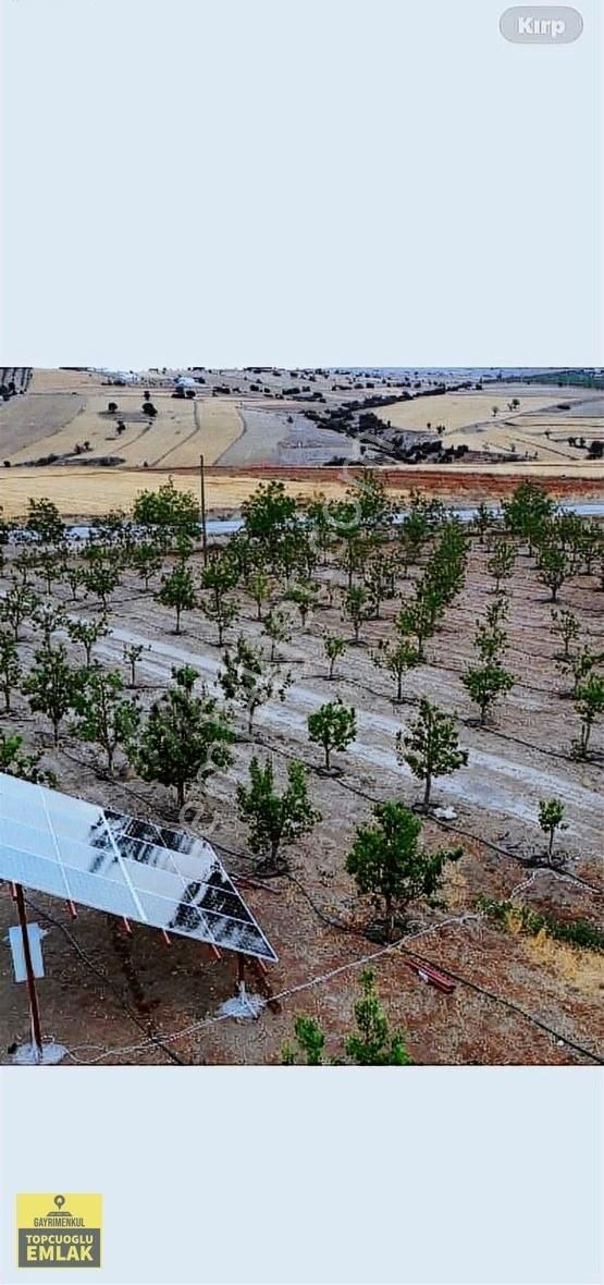 Korkuteli Kevzer Mah Duble Yola Cehpe 11.250m2 Bahçe İlçeye 10km - Görsel 15