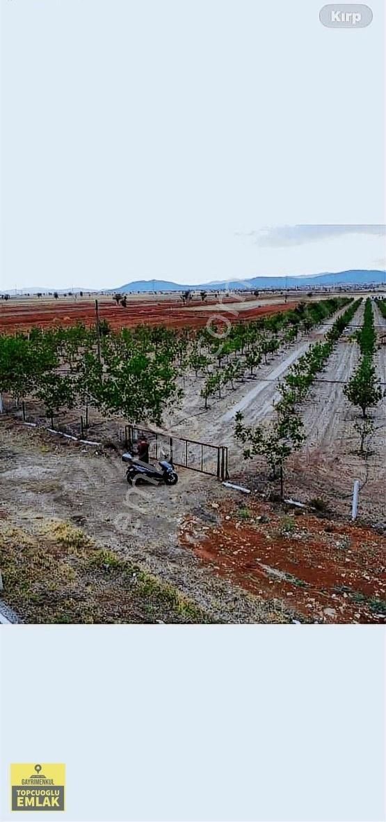 Korkuteli Kevzer Mah Duble Yola Cehpe 11.250m2 Bahçe İlçeye 10km - Görsel 16