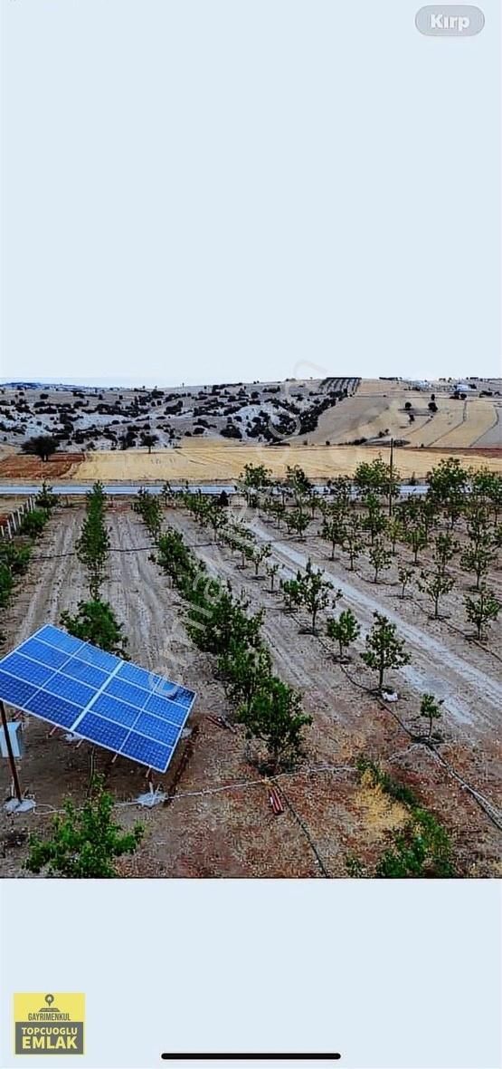 Korkuteli Kevzer Mah Duble Yola Cehpe 11.250m2 Bahçe İlçeye 10km - Görsel 7