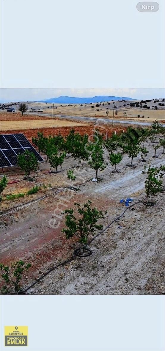 Korkuteli Kevzer Mah Duble Yola Cehpe 11.250m2 Bahçe İlçeye 10km - Görsel 10