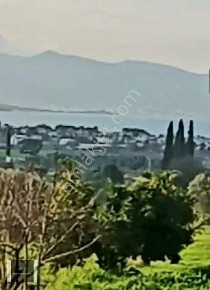 Urla Kekliktepe 7.894 M2 Full Deniz Manzaralı Tarla - Görsel 3