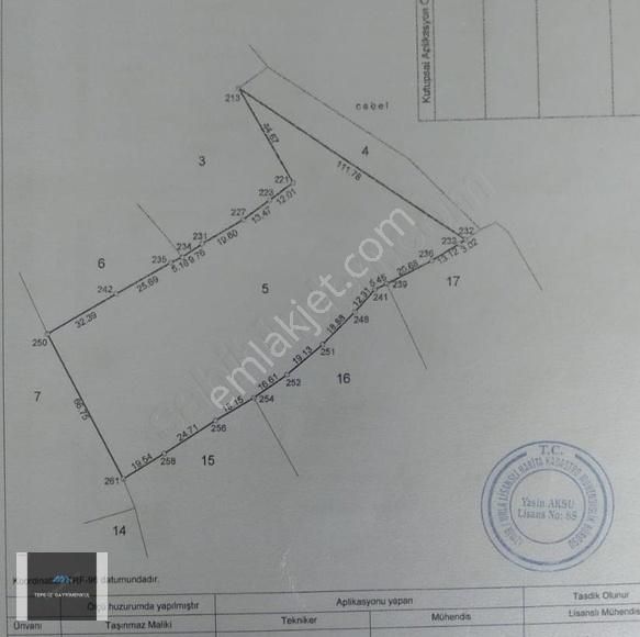 Özbek Burgazda Çamlar İçinde Zeytin Ağaçları Olan 10.079m2 Tarla - Görsel 5