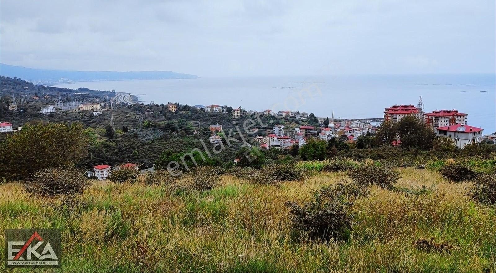 Vakfıkebir Küçükdere Satılık Konut İmarlı Eka' Vakfıkebir'de Satılık Deniz Man. İmar Sınırında Fırsat Arsa