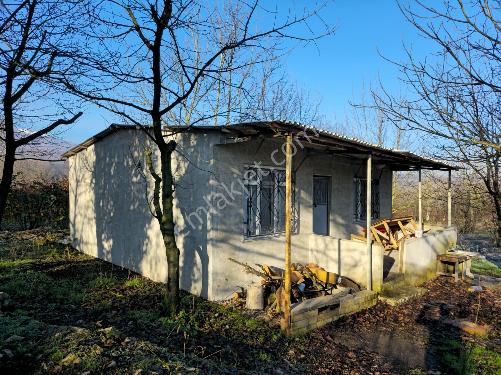 Kestel Babasultan Satılık Bağ & Bahçe Kestel Babasultan'da Meyve Bahçesi Ve Evi 4580 M2