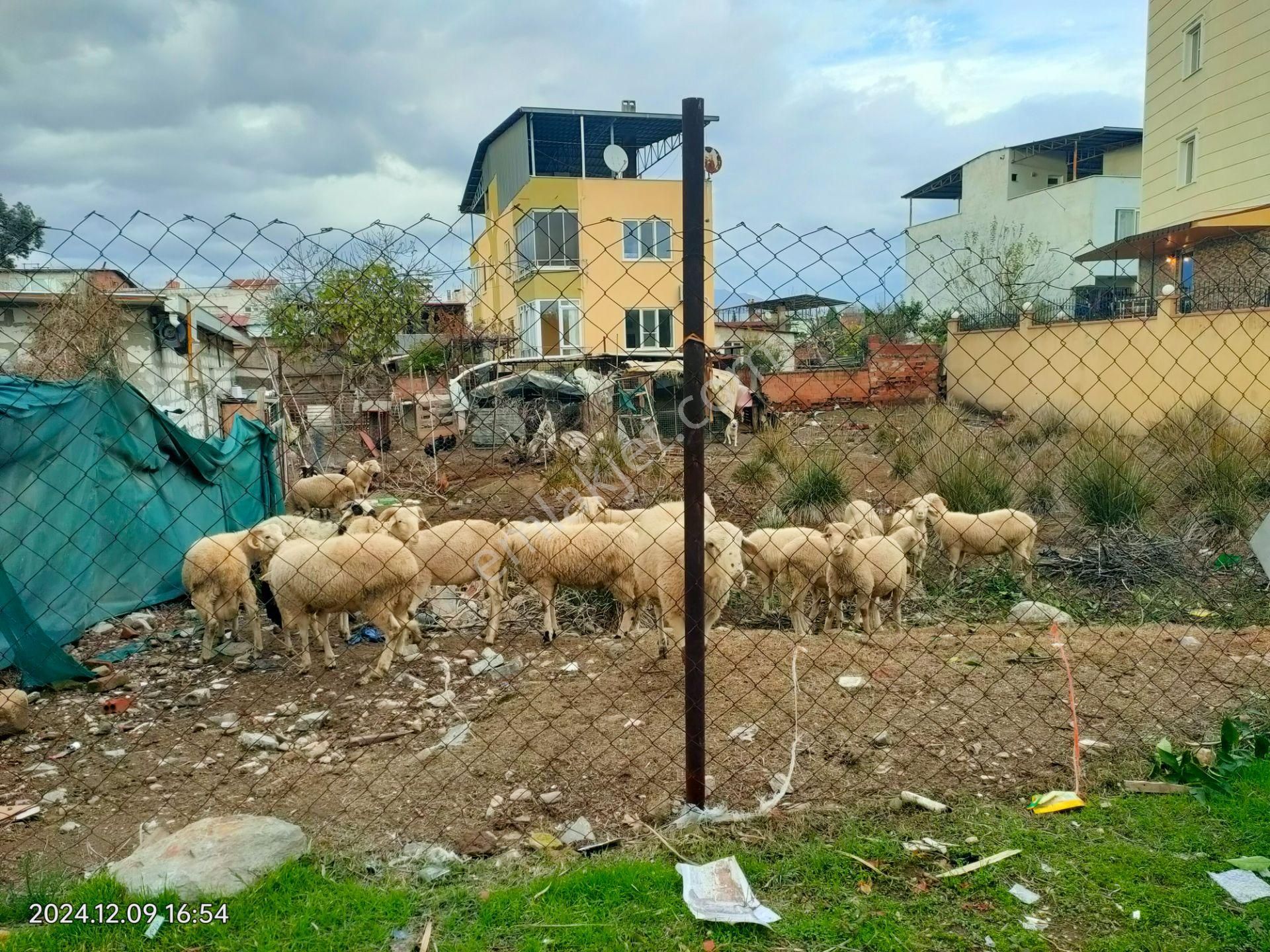 Nazilli Çapahasan Satılık Konut İmarlı Çapahasan Mah De Satılık 3 Kat İmarlı Arsa