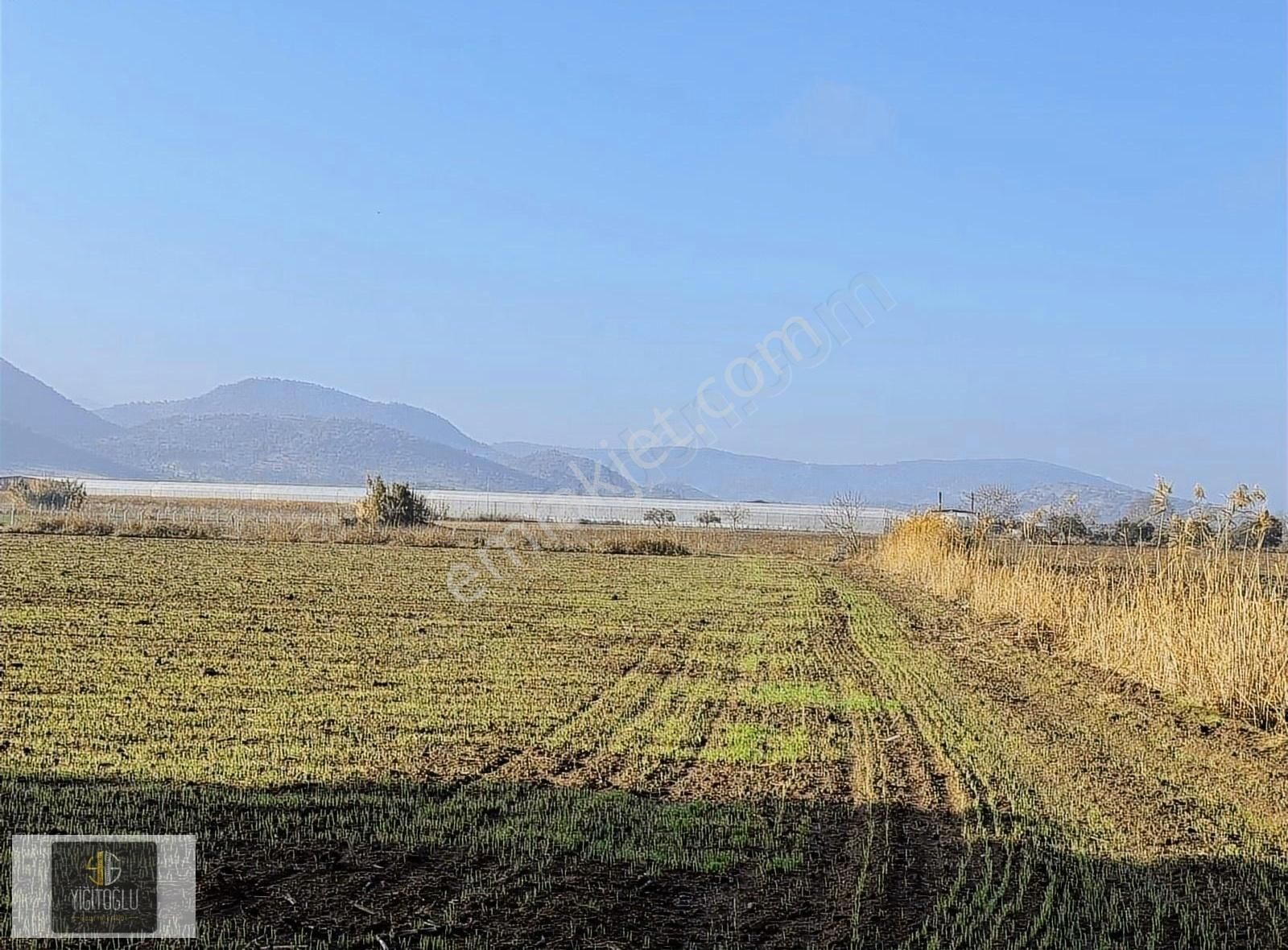 Dikili İsmetpaşa Satılık Tarla Dikili Çanakkale Yoluna Yakın Yatırımlık Satılık Tapulu Tarla