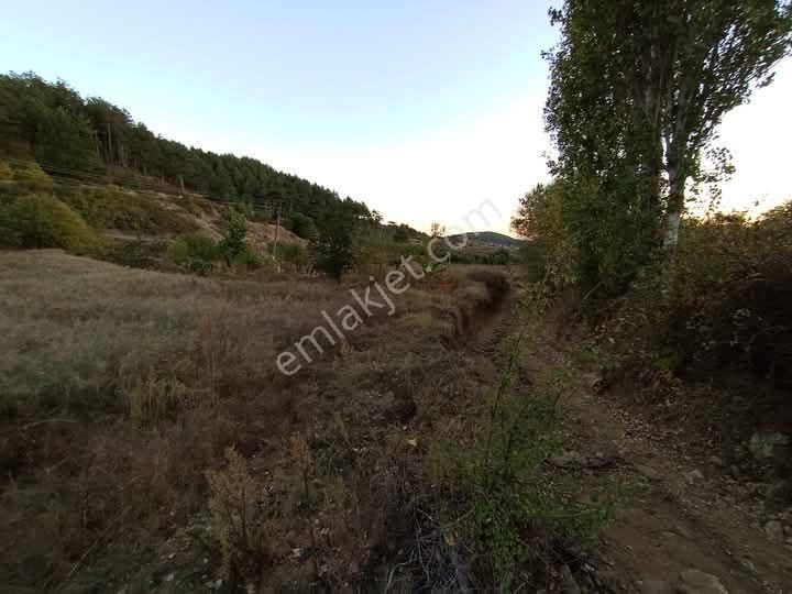 Buldan Yayla Satılık Tarla Mirac Emlaktan 1200 M2 Hobi Bahçemiz Satılıktır