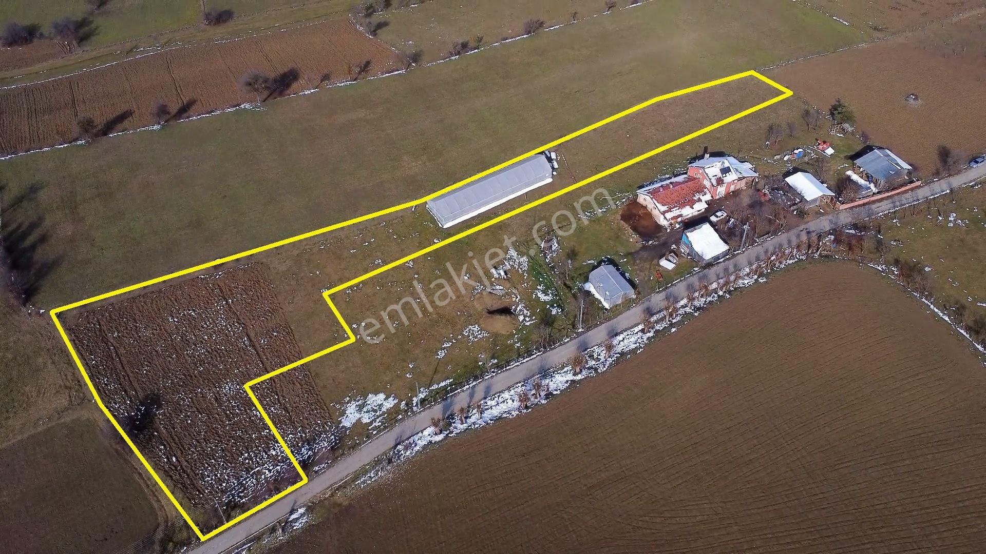 Kastamonu Merkez Esenli Köyü (Kadiroğlu) Satılık Tarla Kastamonu Emlak Gayrimenkul`den Satılık Esenli Köyünde 4.686 M² Tarla