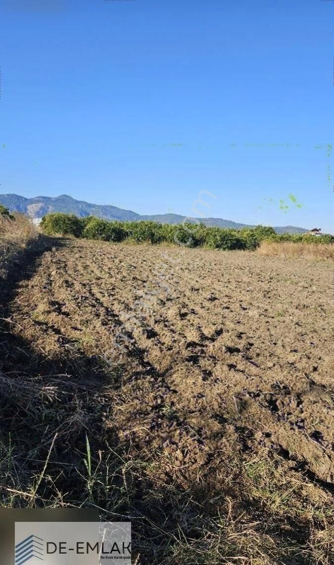 Ortaca Yerbelen Satılık Tarla Yatırımlık Tarla