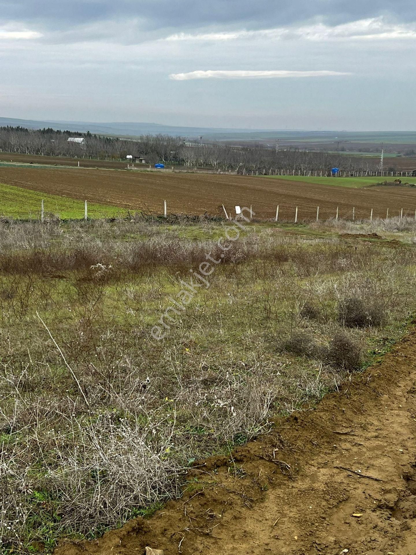 Marmaraereğlisi Dereağzı Satılık Tarla M.ereğlisi Dereağzı 322 M2 Çaplı Muvafakatnameli Etrafını Çevirebileceğiniz Yatırımlık Arsa