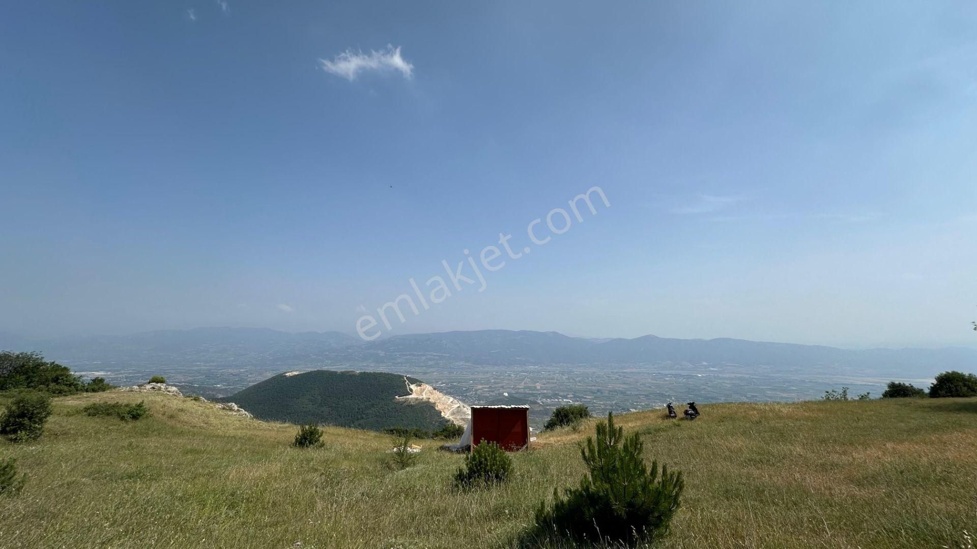 Pamukova Ağaççılar Satılık Tarla Sakarya Pamukova Ağaçcılar Köyü, Manzaralı 785 M2 Satılık Tarla