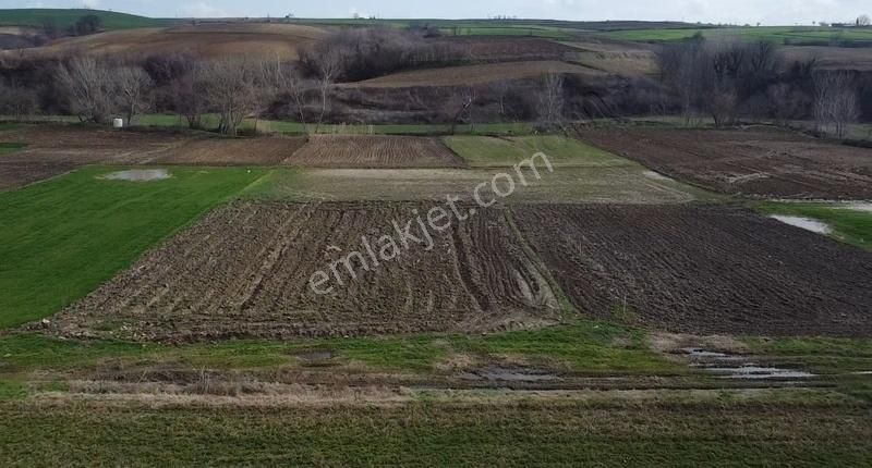 Malkara Gönence Satılık Tarla Malkara Gönence Mah De Tek Tapu Köyün Dibinde 1450 M2 Tarla