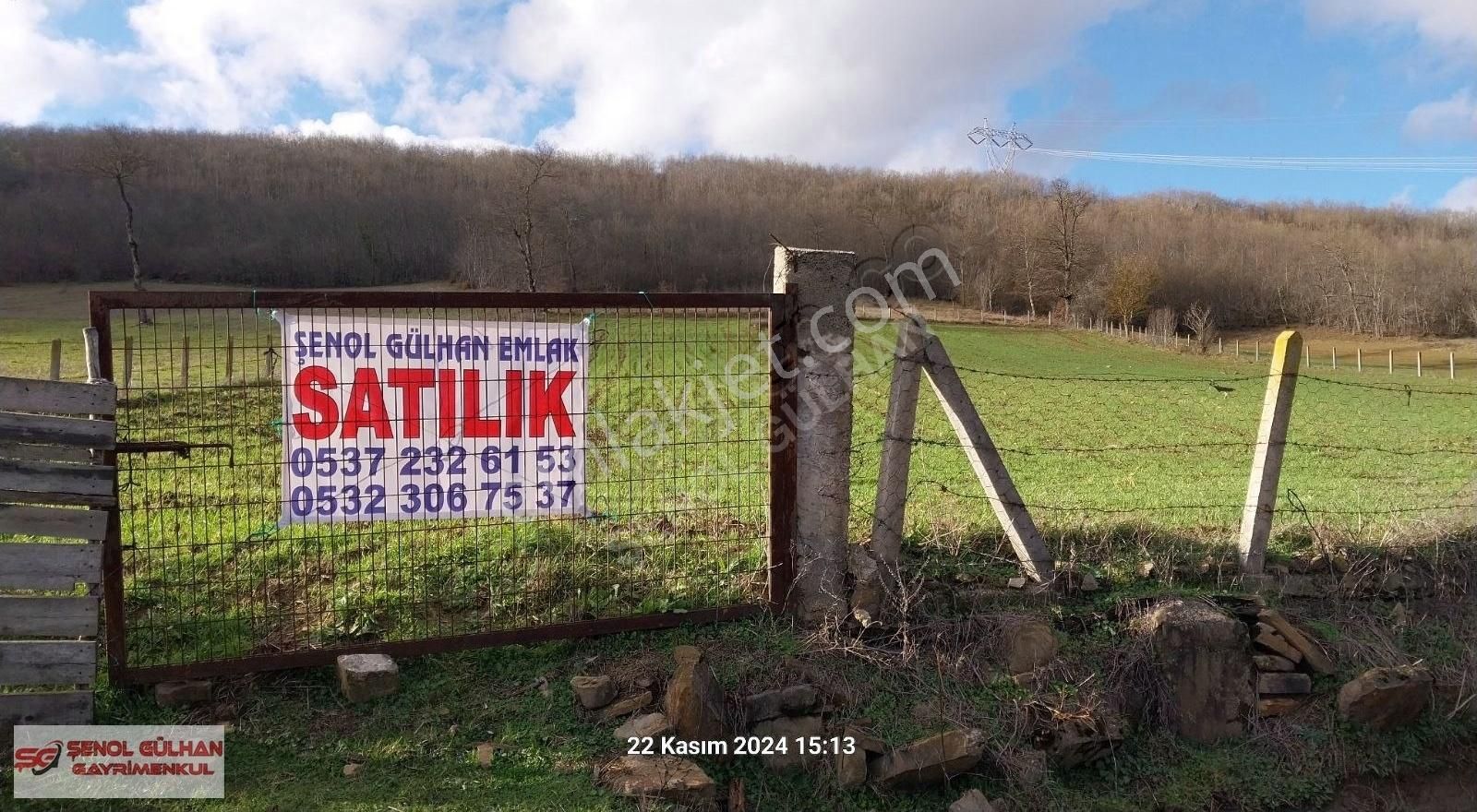 Kavak Yosunlu Satılık Tarla Samsun Kavak Saraykent Te Satılık 5952m2 Tarla