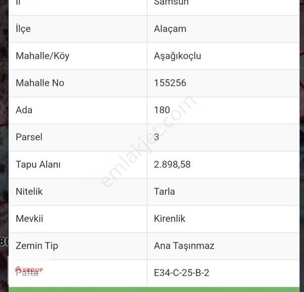 Alaçam Aşağıkoçlu Satılık Tarla Alaçam Aşağıkoçlu 2900 M2 Kadastro Yola Cephe Mahalleye Yakın