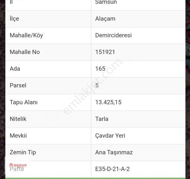 Alaçam Demircideresi Satılık Tarla Alaçam Demircideresi 13.425 M2 Ormana Cephe Arazi