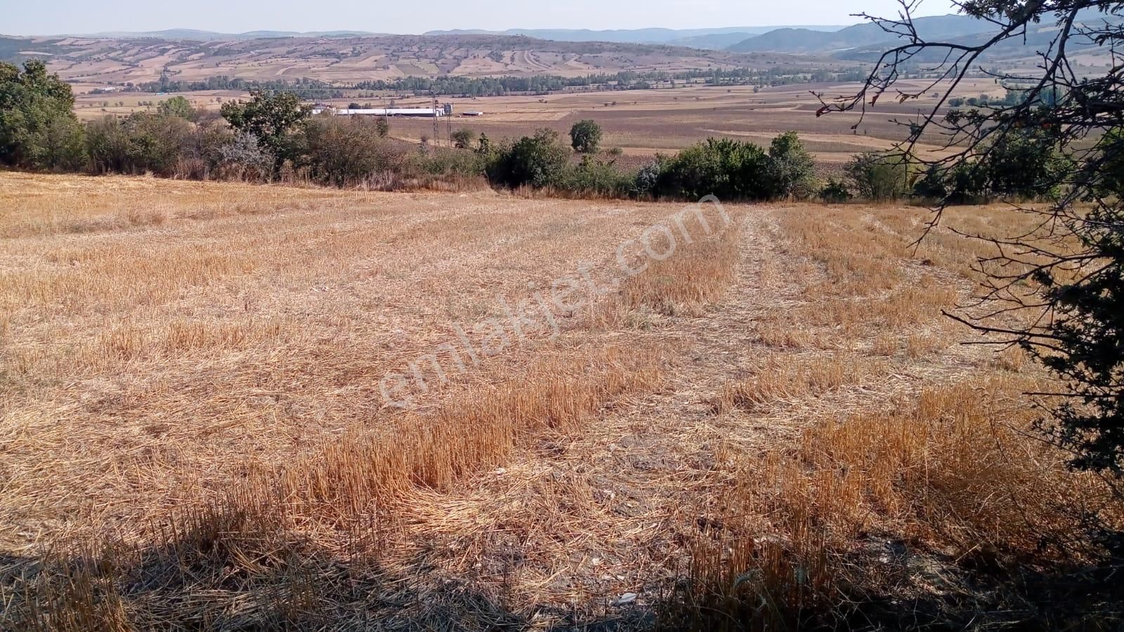 Göynük Gerişler Köyü Satılık Tarla Bolu, Göynük, Gerişler Satılık Tarla