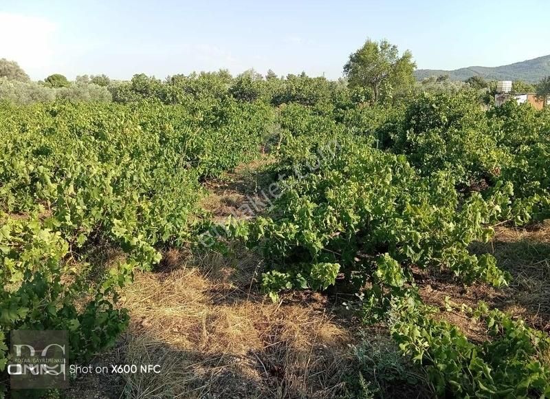 Torbalı Dirmil Satılık Tarla Torbalı Dirmil Mah 3000m2 Aileden Bölünme Satılık Tarla Ve Bağ