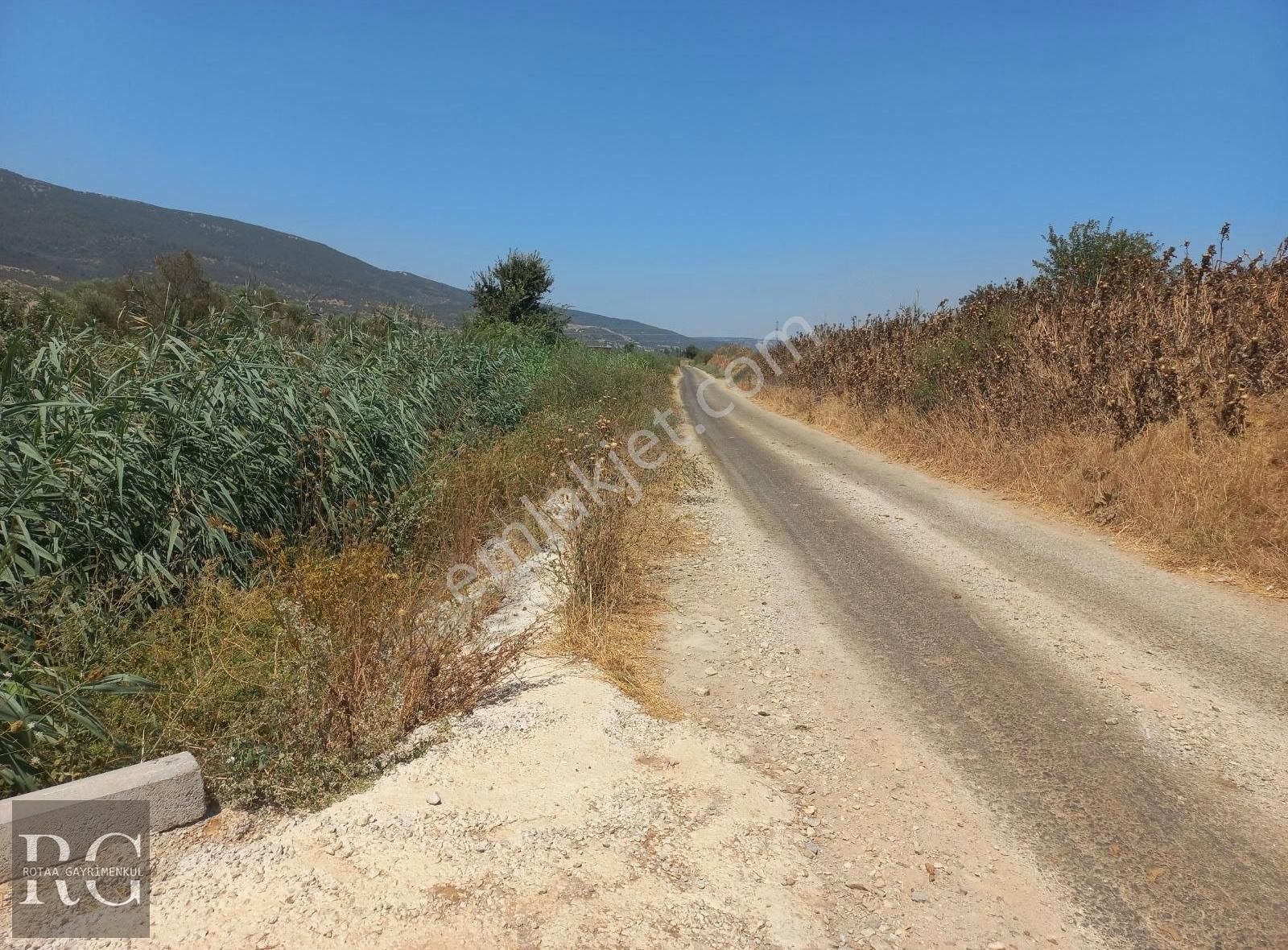 Torbalı Yeniköy Satılık Tarla Rotaa Gayrimenkulden Yeniköy De Mirastan Bölme Satılık Tarla