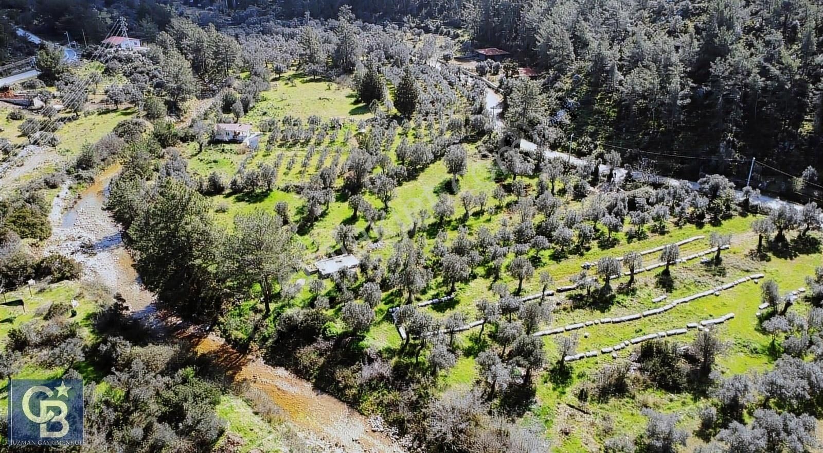 Marmaris Turgut Satılık Tarla Cb Uzman'dan Turgut Köyünde Asfalt Yola Cepheli Arazi