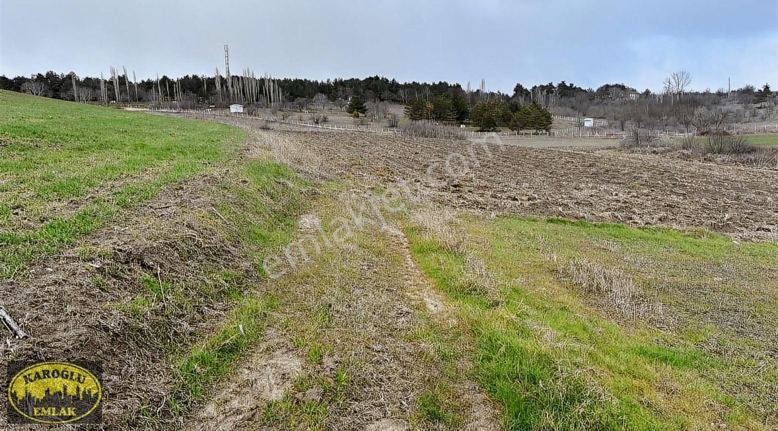 Lüleburgaz Dere Satılık Tarla Lüleburgazda Şehrin İmarın Dibinde Tek Tapu 5586 M2 Tarla