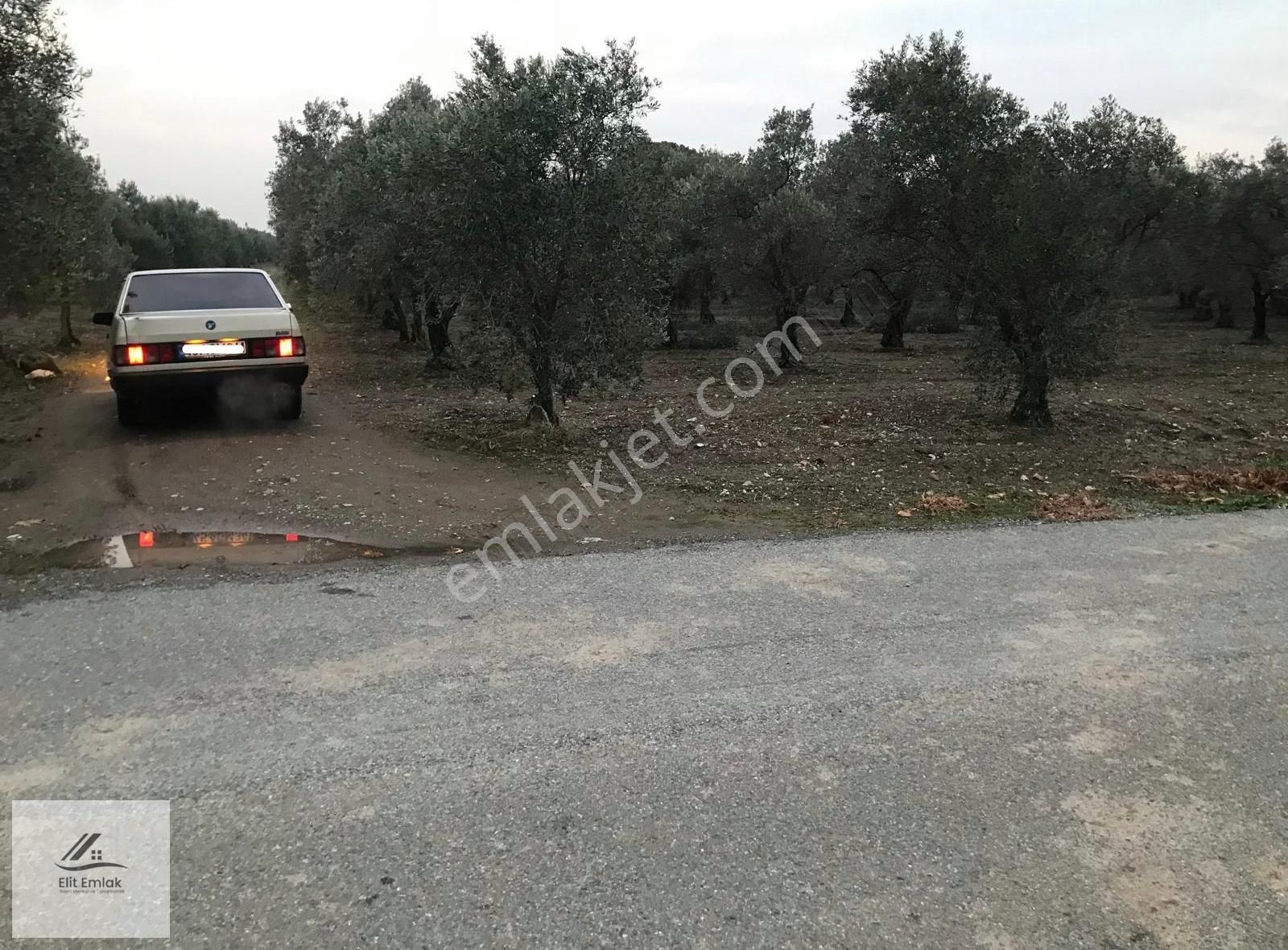 Akhisar Medar Satılık Tarla Mustafa Başyiğit Emlak'tan Medar'da Asfalta Yakın Zeytinlik