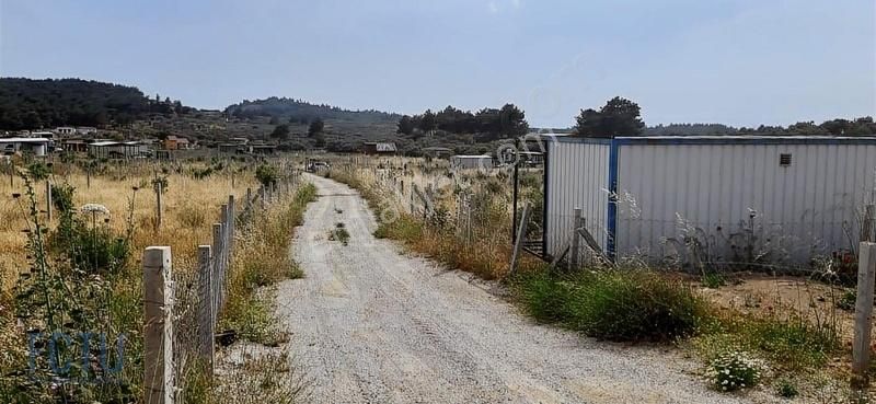 Torbalı Çapak Satılık Tarla Torbalı Çapakta Satılık Tarla Yatırım