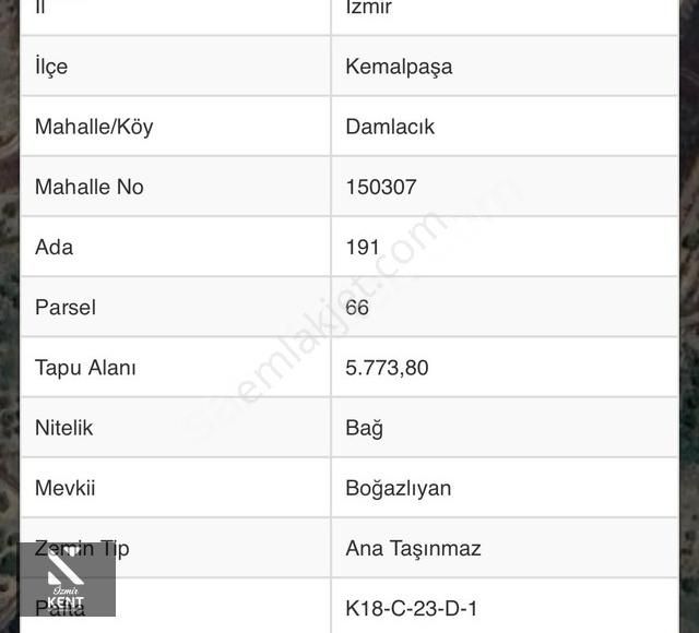 Kemalpaşa Damlacık Satılık Tarla Kemalpaşa Damlacık Satılık Bahçe 1.154 M2 Tapulu