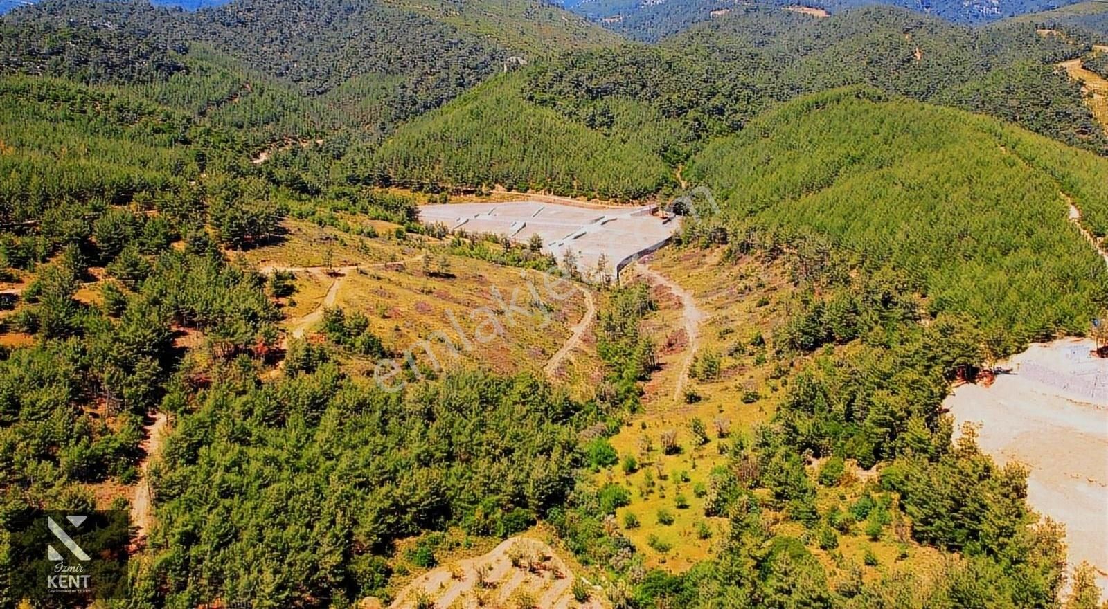 Kemalpaşa Kuyucak Satılık Bahçe 1.070 M2 - Görsel 16