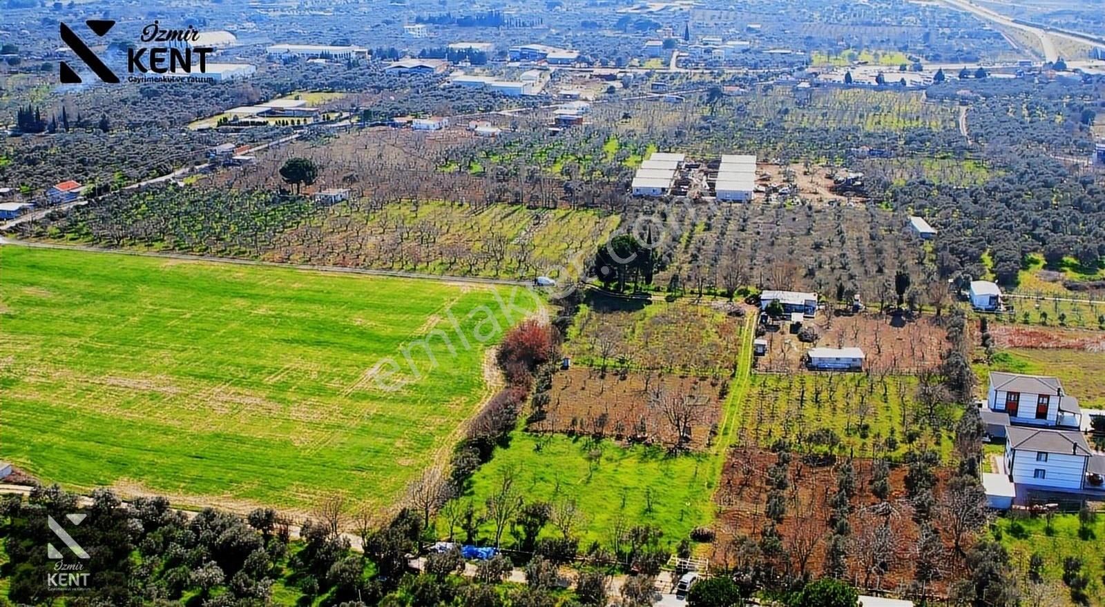 Kemalpaşa Mehmet Akif Ersoy Satılık Bağ & Bahçe Kemalpaşa M. Akif Ersoy Satılık Bahçe 5.392 M2