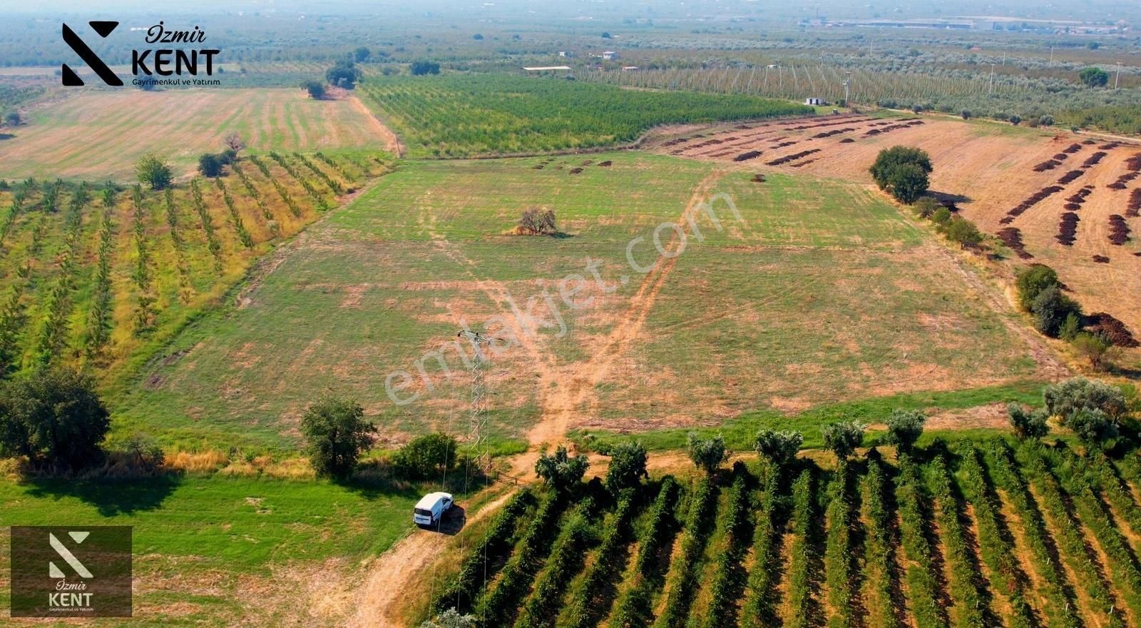 Kemalpaşa Halilbeyli Satılık Bağ & Bahçe Kemalpaşa Halilbeyli Satılık Bahçe 8.654 M2