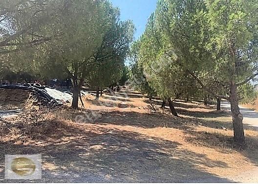 Dikili İsmetpaşa'da Fırsat Yatırımlık Satılık Arsa - Görsel 3