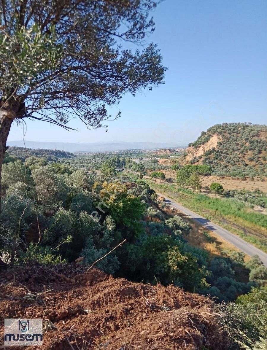 Germencık Dağkaraağac Koyunde 270m2 Satılık Hoby Bahcesı - Görsel 7