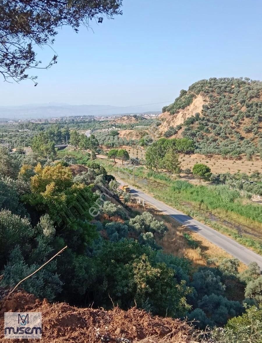 Germencık Dağkaraağac Koyunde 270m2 Satılık Hoby Bahcesı - Görsel 5