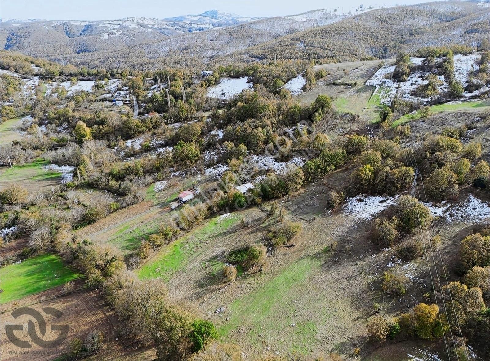 Nilüfer Kuruçeşme Satılık Tarla Nilüfer Kuruçeşme'de Satılık Tarla