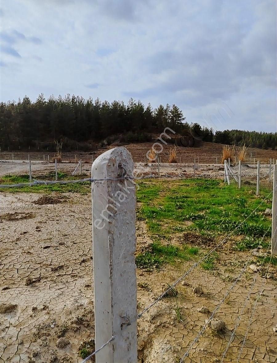 Kargakekeçte Betonu Dökülmüş 276 Metrekare Arsamız Satılıktır - Görsel 5