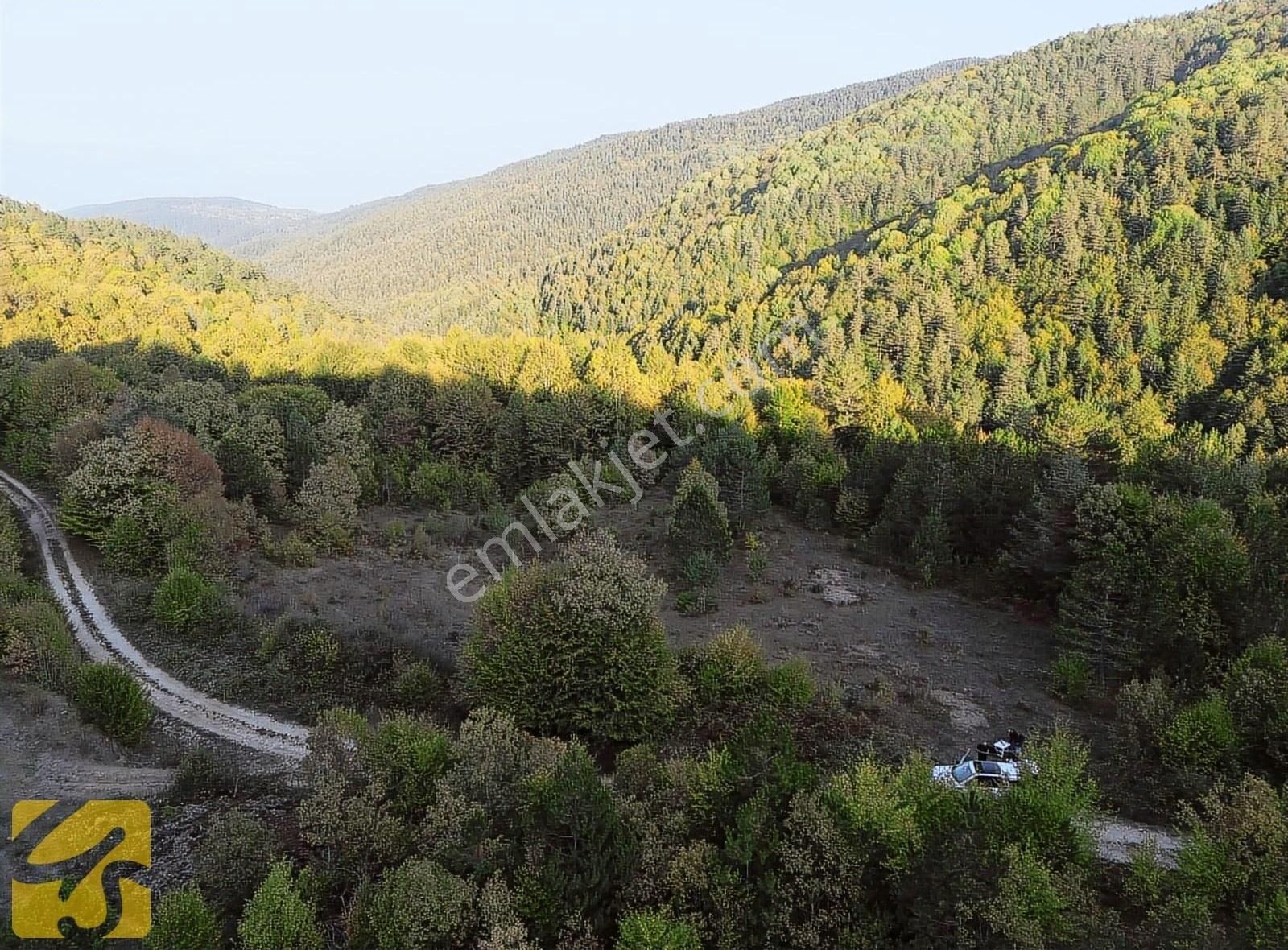 Bolu Merkez Dereceören Köyü Satılık Tarla Abant Dereceören'de Kadastral Yolu Mevcut 5009m²