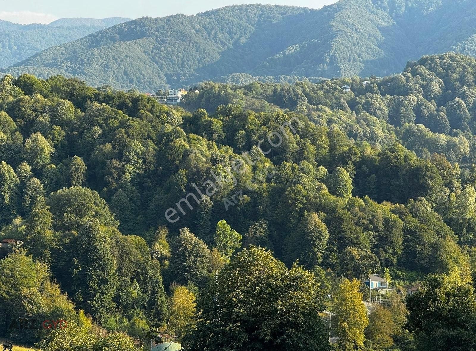 Erenler Değirmendere Satılık Tarla Arz-gyd Erenlr Değirmenderede Satılık 14.484 M2 Fındıklık