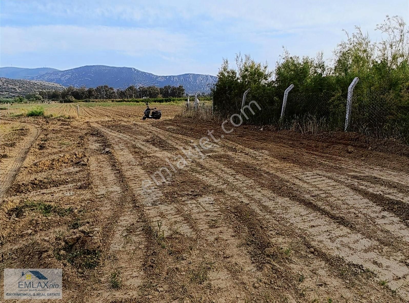 Selçuk İsa Bey Satılık Tarla Tek Tapu Satılık Hobi Bahçesi Tadında Bahçe Kooperatif Değildir