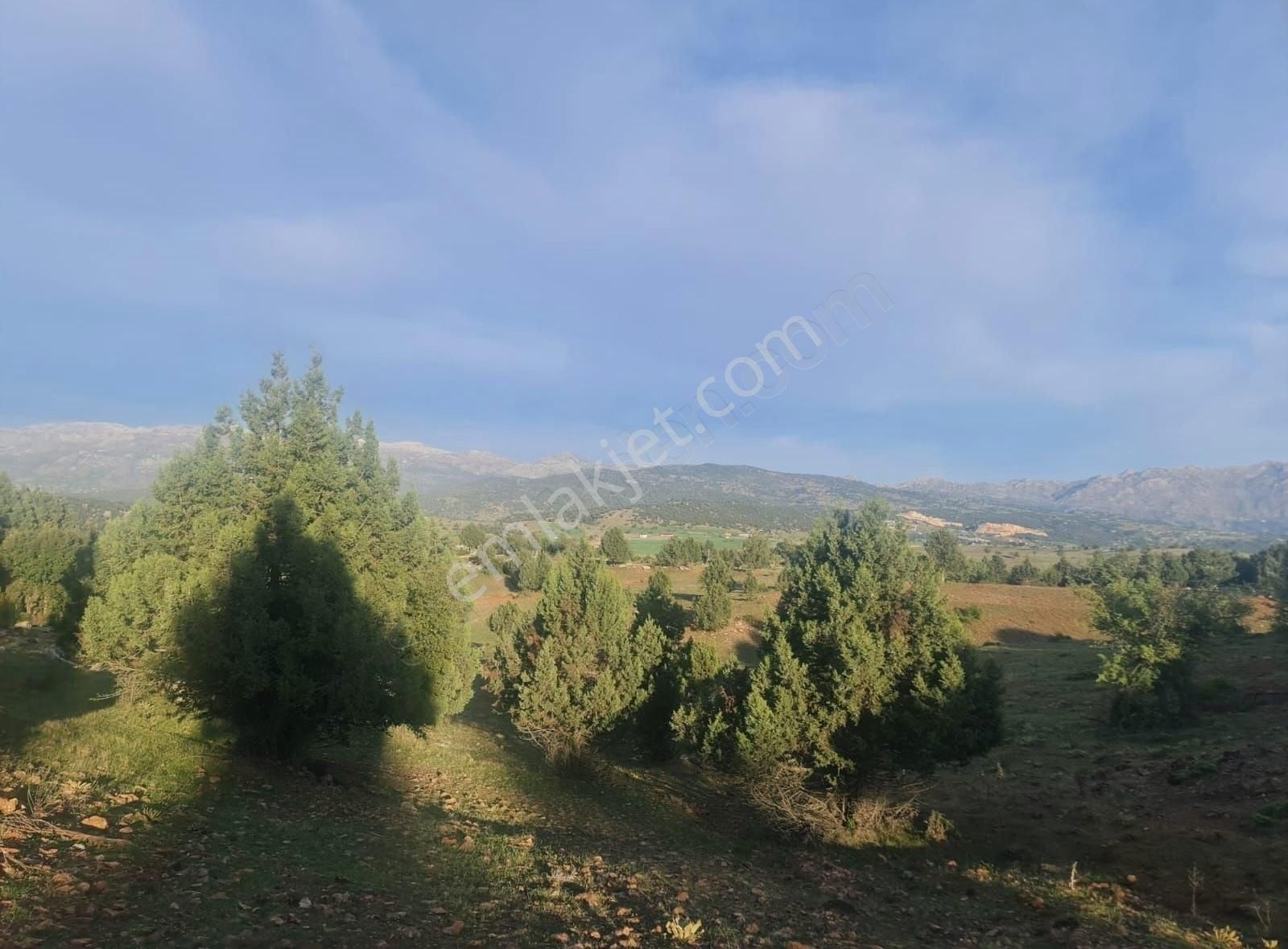 Seydikemer Yayla Karaçulha Satılık Tarla Seydikemer Yayla Karaçulha Satılık Fırsat Arazi