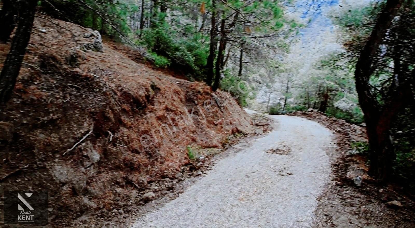 Kemalpaşa Dereköy Satılık Tarla Kemalpaşa Dereköy Satılık Bahçe 980m2 Müstakil Elektrik Yol