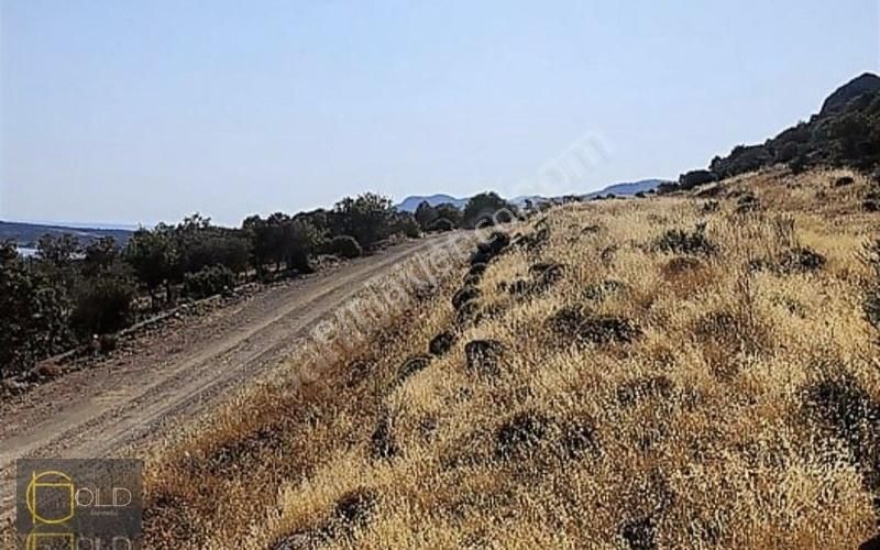 Assos Sokak Ağzı Denize 200 Metre İmarlı Arsa - Görsel 13